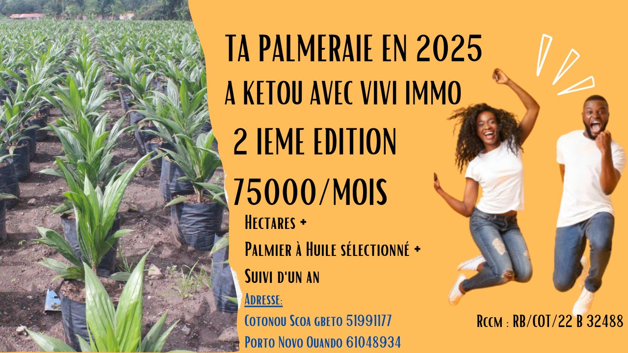 MA PALMERAIE A KETOU BENIN EN 2025 PAR VIVI IMMO